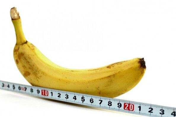 penis measurement on the example with a banana